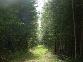 Муниципальное образование Назинское сельское поселение